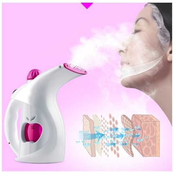 A Ionic Steam Thermal Spa Steamer for Beauty Salon
