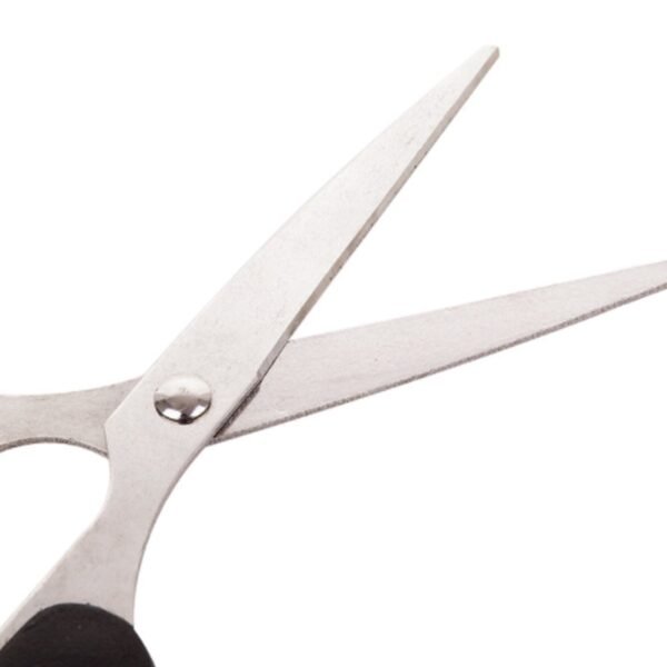 Stainless Steel Scissors with Plastic handle grip 160mm (1Pc Only) - Image 2